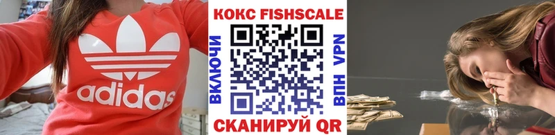 Кокаин Fish Scale  купить наркотики цена  маркетплейс клад  Саяногорск 