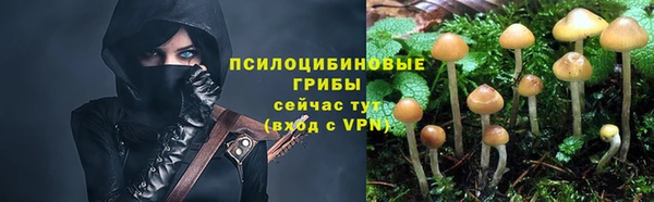 стаф Балахна
