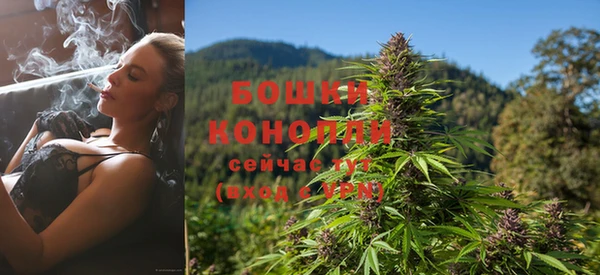 стаф Балахна