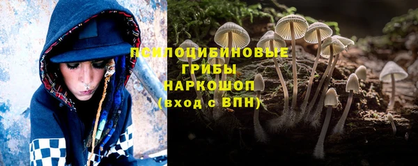 стаф Балахна