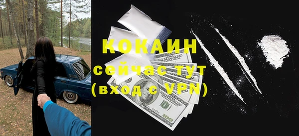 индика Семилуки