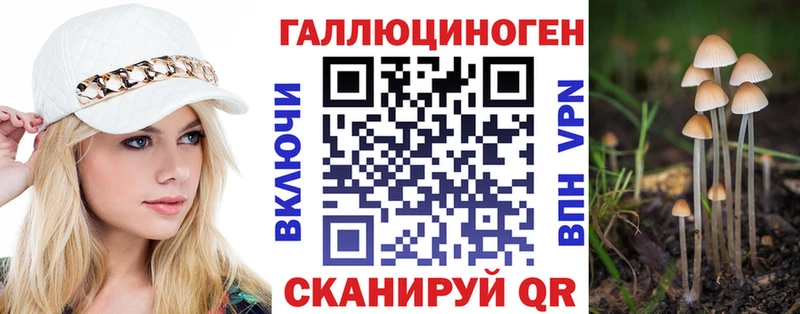 MEGA как войти Саяногорск Псилоцибиновые грибы мухоморы